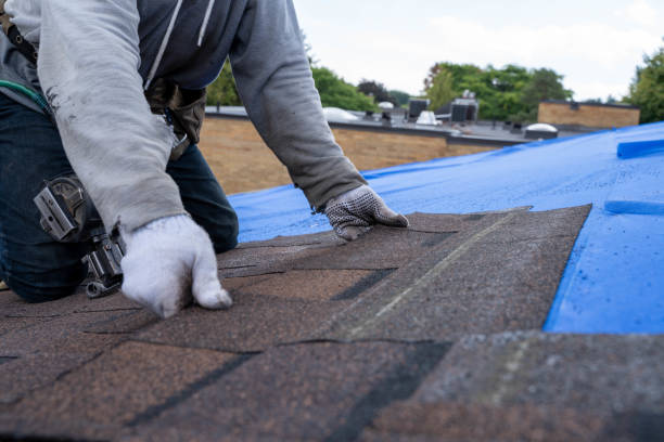 Best Emergency Roof Repair  in Champaign, IL