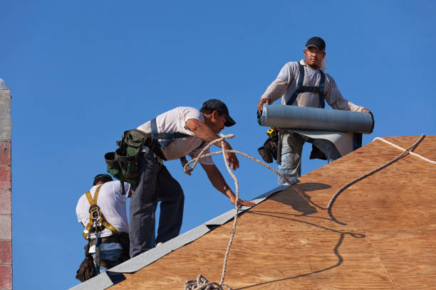Best Local Roofing Companies  in Champaign, IL