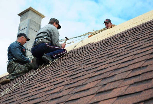 Best New Roof Installation  in Champaign, IL
